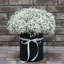 Цветочная композиция из Гипсофила в шляпной коробке #REPLACE_PRED# Подлесном