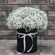 Цветочная композиция из Гипсофила в шляпной коробке в Подлесном